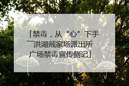 禁毒，从“心”下手――洪湖戴家场派出所广场禁毒宣传侧记