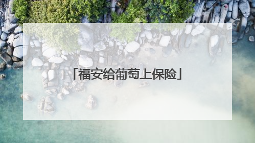 福安给葡萄上保险