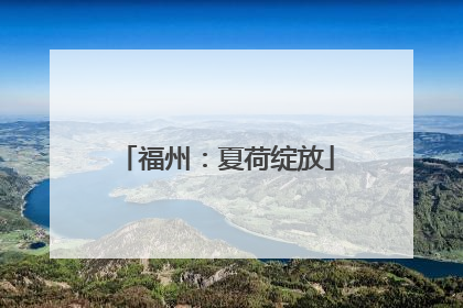 福州：夏荷绽放