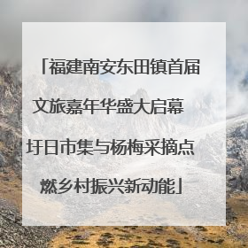 福建南安东田镇首届文旅嘉年华盛大启幕 圩日市集与杨梅采摘点燃乡村振兴新动能