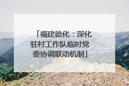 福建德化：深化驻村工作队临时党委协调联动机制