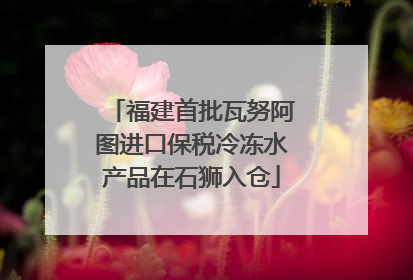 福建首批瓦努阿图进口保税冷冻水产品在石狮入仓