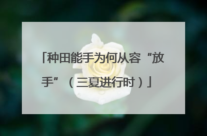 种田能手为何从容“放手”（三夏进行时）