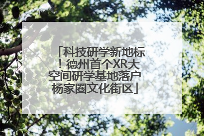 科技研学新地标！德州首个XR大空间研学基地落户杨家圈文化街区