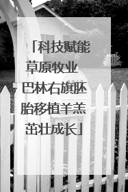 科技赋能草原牧业 巴林右旗胚胎移植羊羔茁壮成长