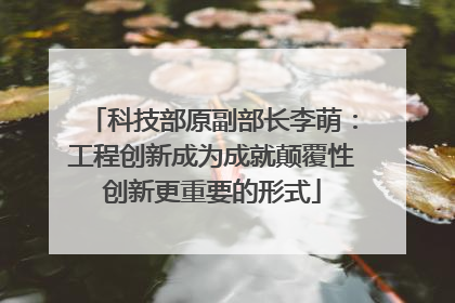 科技部原副部长李萌：工程创新成为成就颠覆性创新更重要的形式