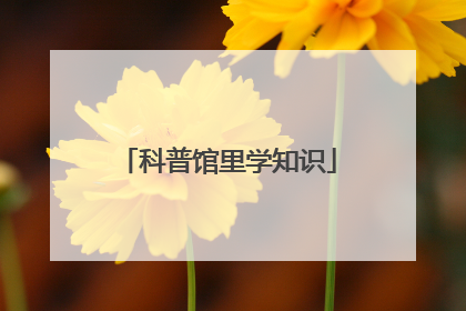 科普馆里学知识