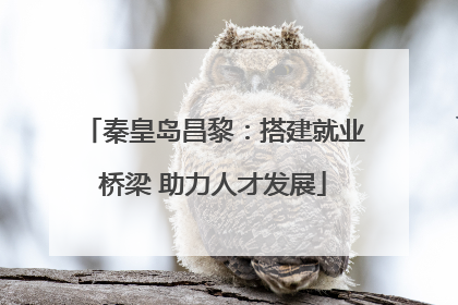 秦皇岛昌黎：搭建就业桥梁 助力人才发展