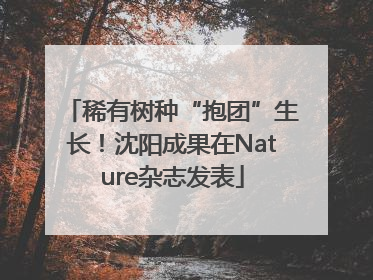 稀有树种“抱团”生长！沈阳成果在Nature杂志发表
