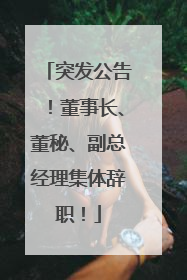 突发公告！董事长、董秘、副总经理集体辞职！