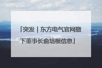 突发｜东方电气官网撤下董事长俞培根信息