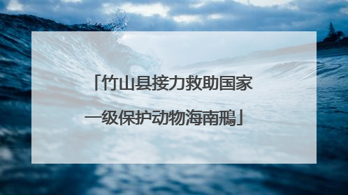竹山县接力救助国家一级保护动物海南鳽