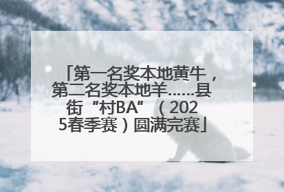 第一名奖本地黄牛，第二名奖本地羊……县街“村BA”（2025春季赛）圆满完赛