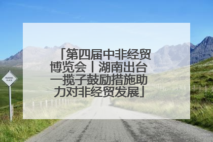 第四届中非经贸博览会丨湖南出台一揽子鼓励措施助力对非经贸发展