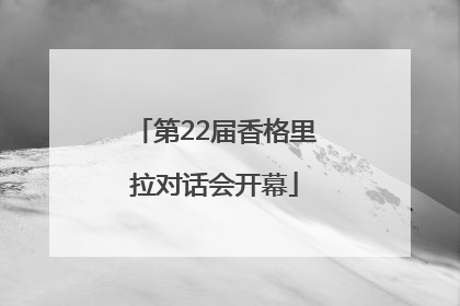 第22届香格里拉对话会开幕