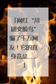 网红“川剧变脸鸟”骗了千万网友！它的真身竟是……