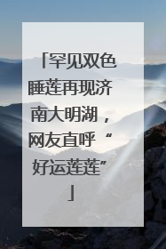 罕见双色睡莲再现济南大明湖，网友直呼“好运莲莲”