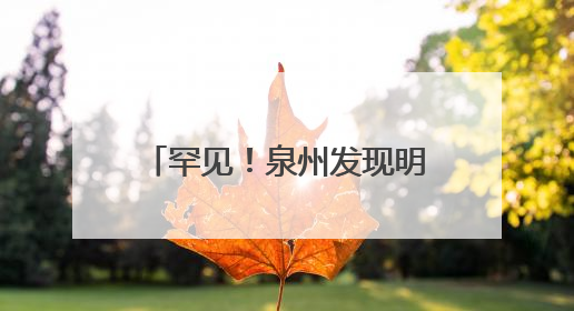 罕见！泉州发现明代早期木构建筑