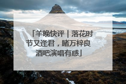 羊晚快评｜落花时节又逢君，睹万梓良酒吧演唱有感