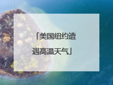 美国纽约遭遇高温天气