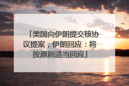 美国向伊朗提交核协议提案，伊朗回应：将按原则适当回应