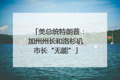 美总统特朗普：加州州长和洛杉矶市长“无能”