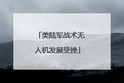 美陆军战术无人机发展受挫