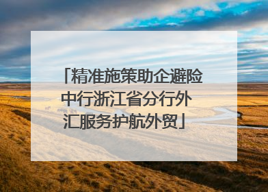 精准施策助企避险 中行浙江省分行外汇服务护航外贸