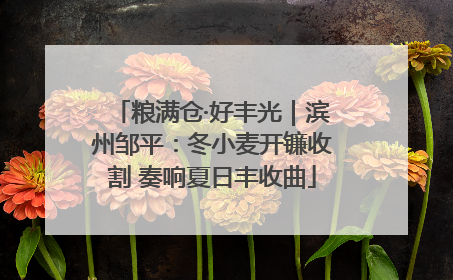 粮满仓·好丰光｜滨州邹平：冬小麦开镰收割 奏响夏日丰收曲
