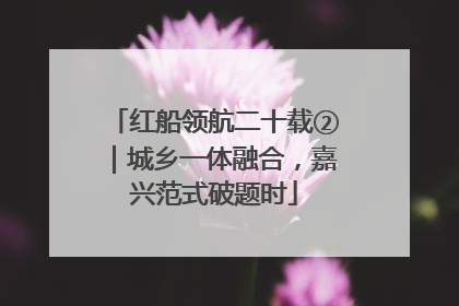 红船领航二十载②｜城乡一体融合，嘉兴范式破题时