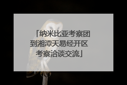 纳米比亚考察团到湘潭天易经开区考察洽谈交流