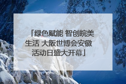 绿色赋能 智创皖美生活 大阪世博会安徽活动日盛大开幕
