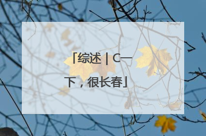 综述｜C一下，很长春