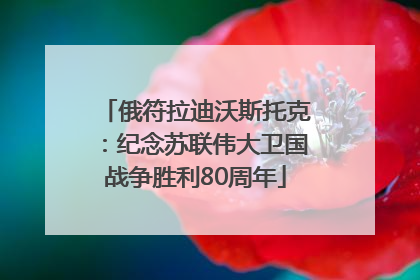 俄符拉迪沃斯托克：纪念苏联伟大卫国战争胜利80周年