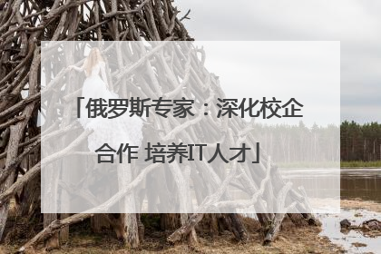 俄罗斯专家：深化校企合作 培养IT人才