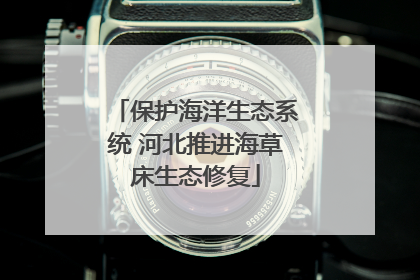 保护海洋生态系统 河北推进海草床生态修复