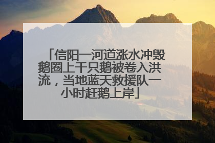 信阳一河道涨水冲毁鹅圈上千只鹅被卷入洪流，当地蓝天救援队一小时赶鹅上岸