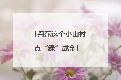 丹东这个小山村点“绿”成金