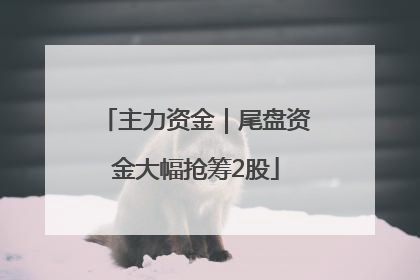 主力资金｜尾盘资金大幅抢筹2股