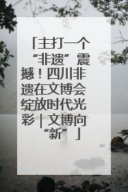 主打一个“非遗”震撼！四川非遗在文博会绽放时代光彩｜文博向“新”