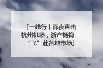 一线行丨深夜直击杭州机场，浙产杨梅“飞”赴各地市场