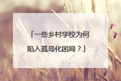 一些乡村学校为何陷入孤岛化困局？