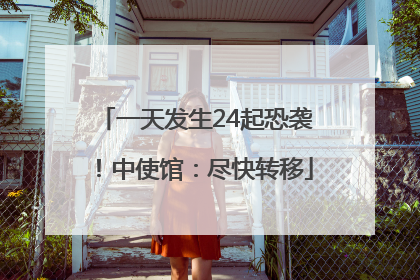 一天发生24起恐袭！中使馆：尽快转移