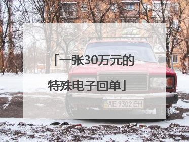 一张30万元的特殊电子回单
