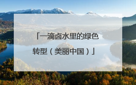 一滴卤水里的绿色转型（美丽中国）