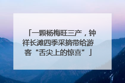 一颗杨梅旺三产，钟祥长滩四季采摘带给游客“舌尖上的惊喜”