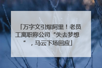 万字文引爆阿里！老员工离职称公司“失去梦想”，马云下场回应
