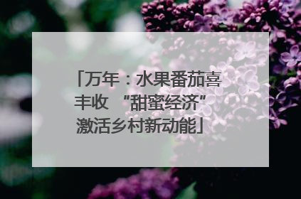 万年：水果番茄喜丰收 “甜蜜经济”激活乡村新动能
