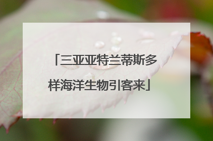 三亚亚特兰蒂斯多样海洋生物引客来