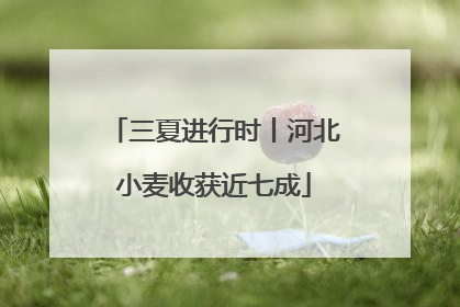 三夏进行时丨河北小麦收获近七成
